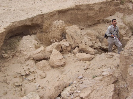 صخور الحجر الرملي لتكوين الدبدبة في المناطق المجاورة لجبل سنام